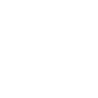 Bridge CDN logo